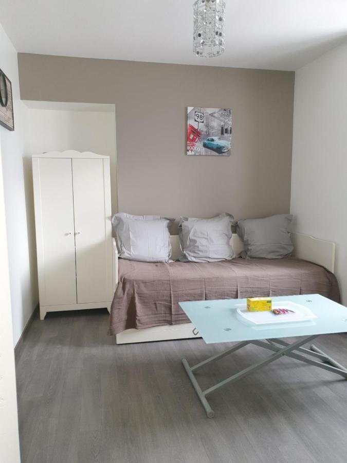 Studio Meuble Au Rdc , Proche Lac Aix-les-Bains Eksteriør billede
