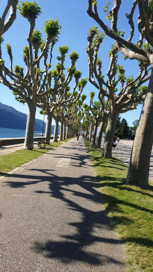 Studio Meuble Au Rdc , Proche Lac Aix-les-Bains Eksteriør billede