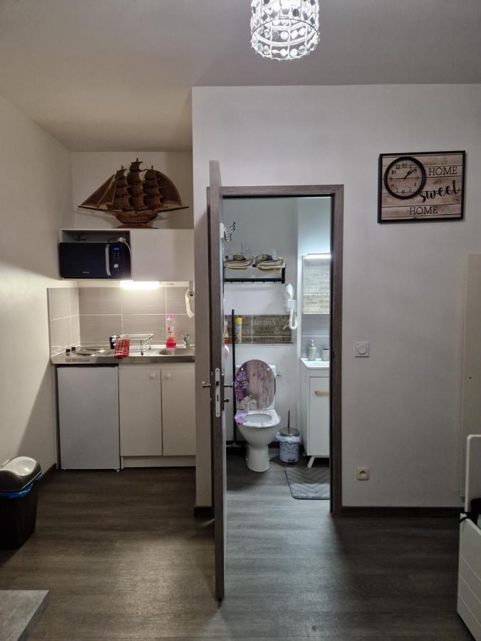Studio Meuble Au Rdc , Proche Lac Aix-les-Bains Eksteriør billede